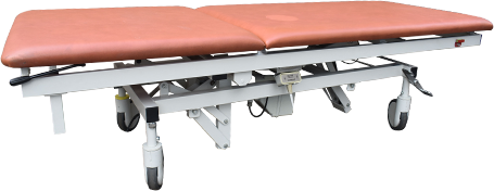 Explore Our Medical Furniture Collection: Delivery Beds, ICU Beds, and More - Oostwoud Electric 2-Section Examination Couch_Table (Brown)